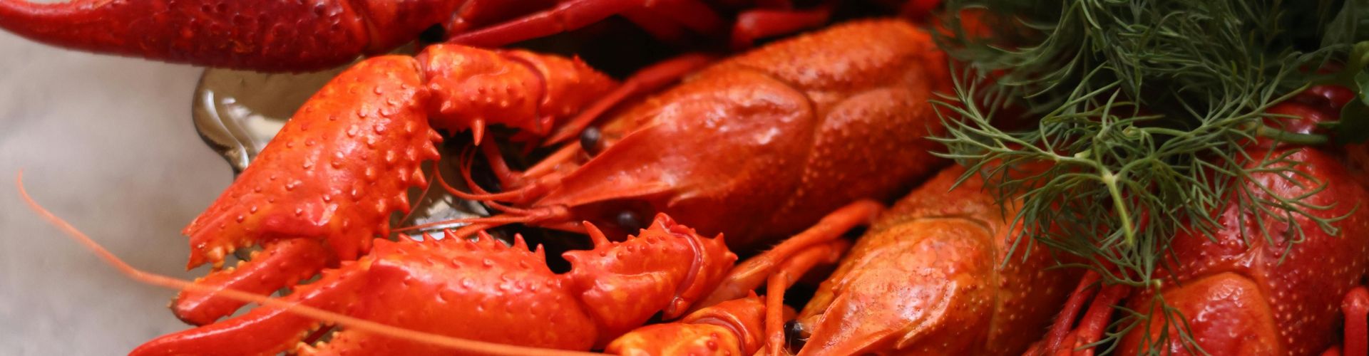 como cocinar correctamente bogavante portada